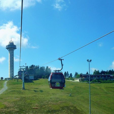 Komfort-Fewo Ettelsberg-Panorama Willingen  Extérieur photo